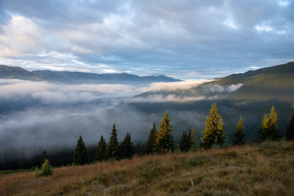 Schimbări climatice: Ecosistemele alpine din Carpați, cele mai afectate Ecosistemele din Europa răspund deja la încălzirea globală, schimbările fiind cele mai accentuate în zonele alpine, inclusiv în Munții Carpați