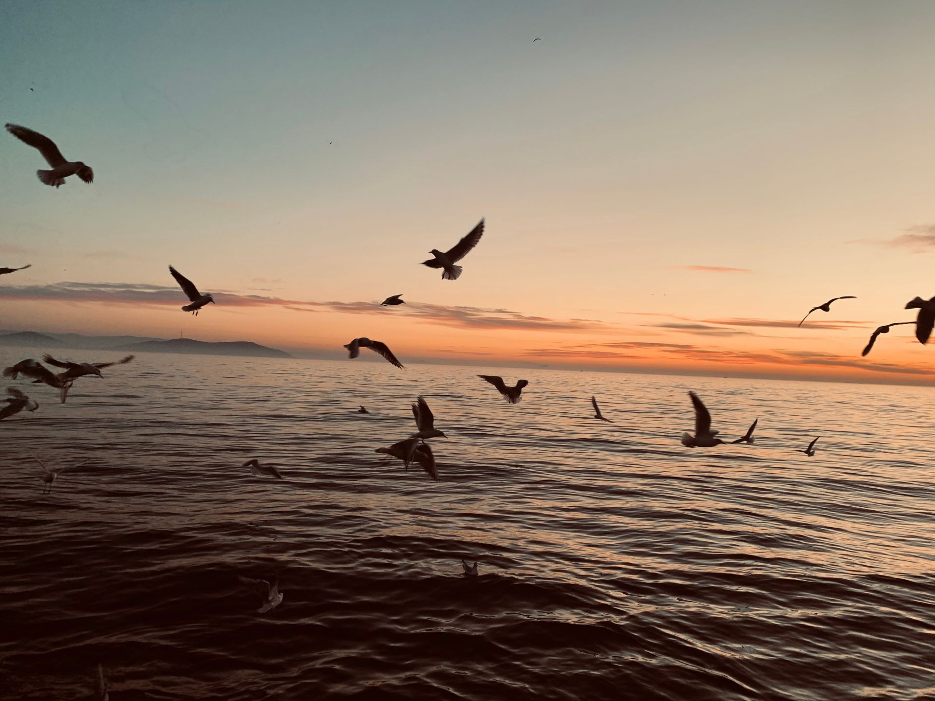 Vârtejuri de foc pentru curățarea oceanelor: Oamenii de știință testează o nouă metodă de combatere a scurgerilor de petrol O echipă de cercetători a dezvoltat o metodă inovatoare pentru a curăța scurgerile de petrol din oceane, utilizând vârtejuri de foc