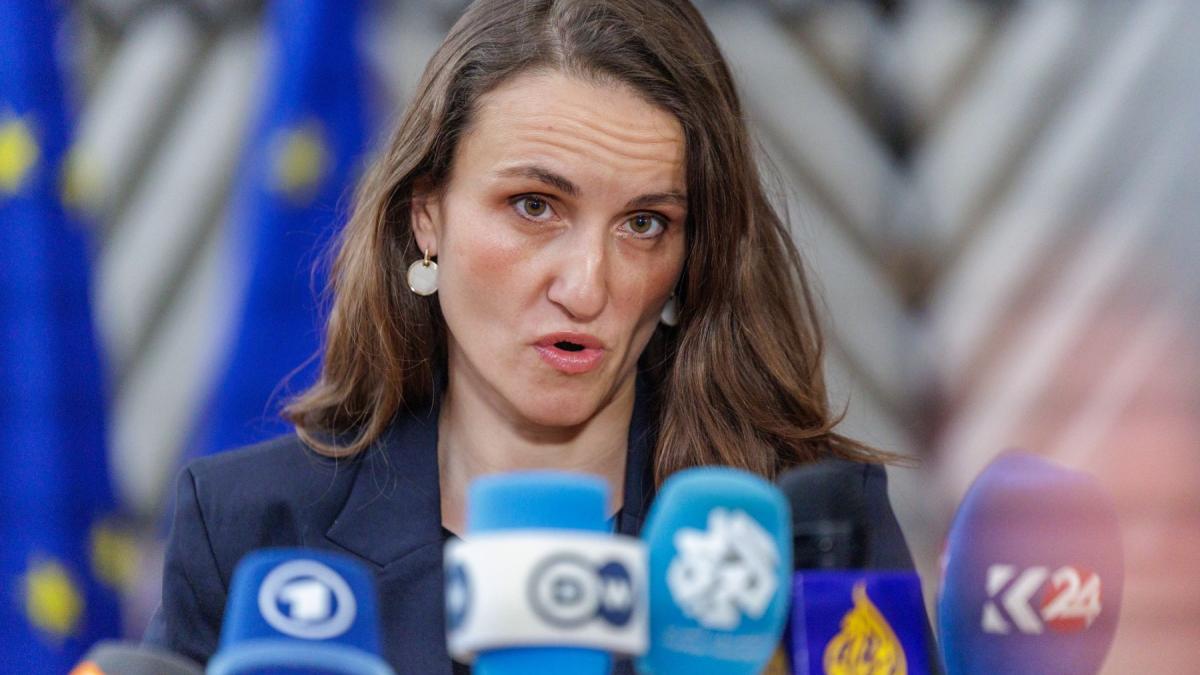 Irina Ponta, fiica foștilor premieri Daciana Sârbu și Victor Ponta, a fost exclusă de pe lista pasagerilor unui avion de repatriere organizat de Ministerul Afacerilor Externe (MAE) pentru a aduce acasă copiii blocați în Emiratele Arabe Unite