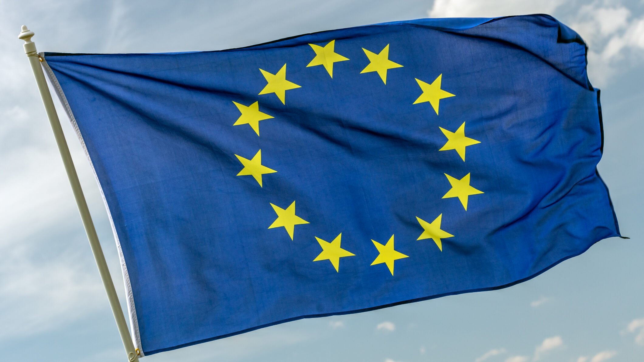 Ue interzice „friptura vegetală”: Ce denumiri rămân permise