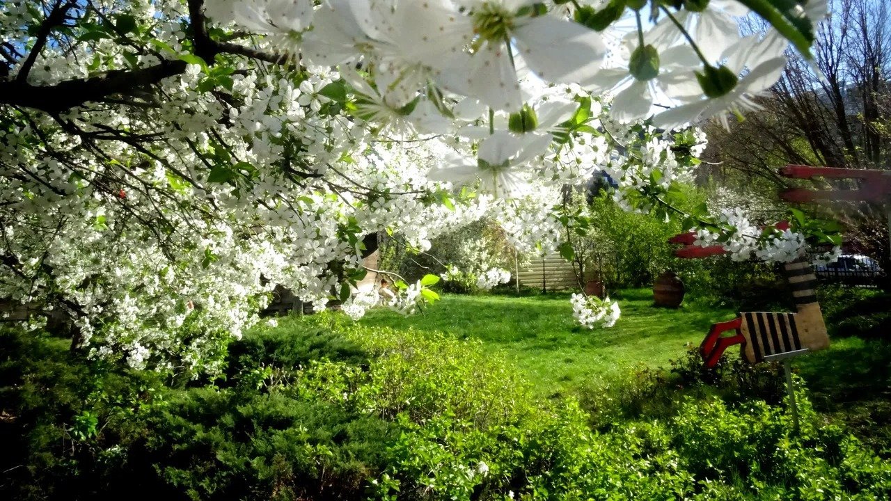 Vreme neobișnuit de caldă în România: temperaturi peste normalul perioadei, dar cu atenționări România se pregătește pentru o perioadă cu temperaturi neobișnuit de ridicate pentru luna martie, conform prognozelor meteorologice