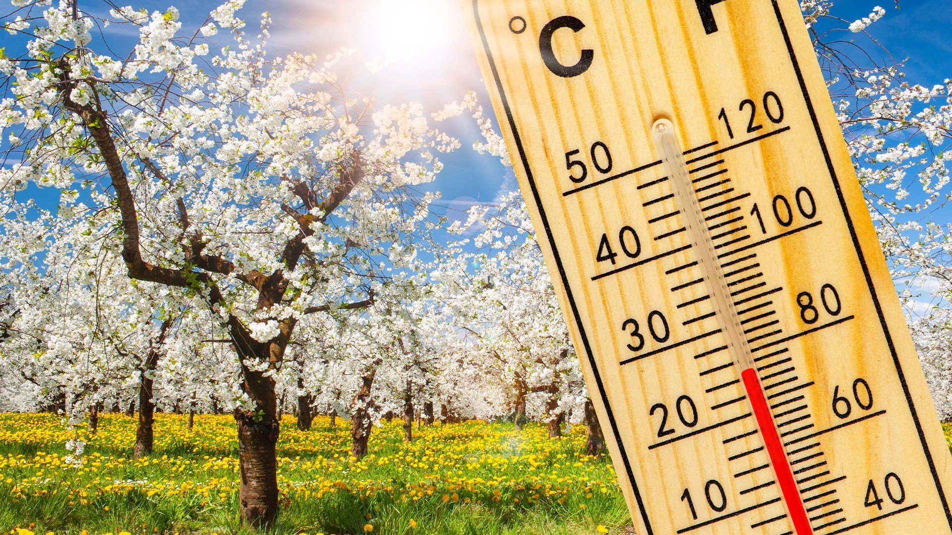 Vremea de Paște: Prognoza meteo anunță schimbări bruște și ploi în România Bucuroși sau nu, Paștele se apropie și, odată cu el, veștile despre vreme
