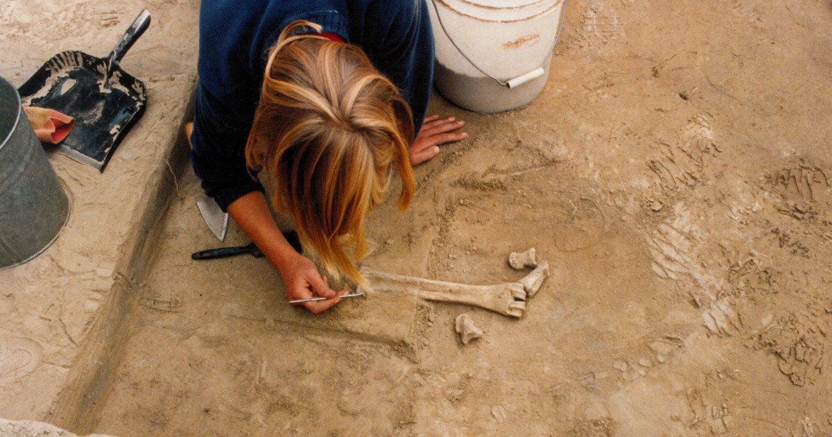 Descoperiri în Alaska contestă teoriile despre primii oameni din America Unelte vechi de 14.000 de ani, confecționate din fildeș de mamut, descoperite în Alaska, ar putea schimba modul în care arheologii înțeleg migrația primilor oameni în America