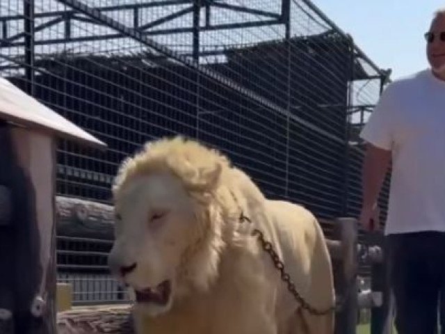 Zbor de repatriere pentru românii blocați în Dubai, cu ajutorul lui Cosmin Olăroiu Un zbor de repatriere organizat de autoritățile române, finanțat în mare parte din fonduri europene, urmează să aterizeze vineri dimineață la București