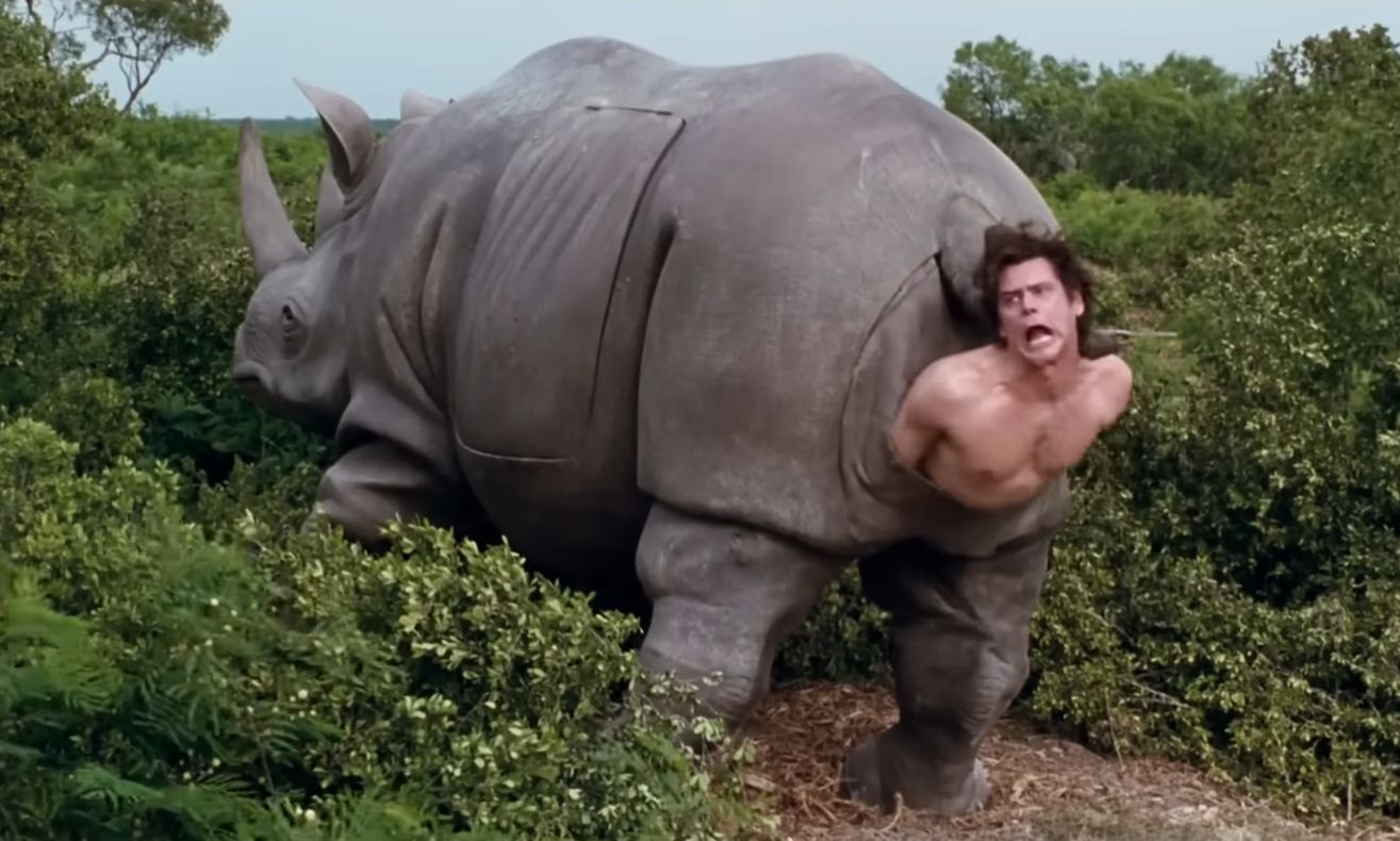 Rinocerul din ace ventura se vinde la licitație. Cât valorează piesa emblematică?