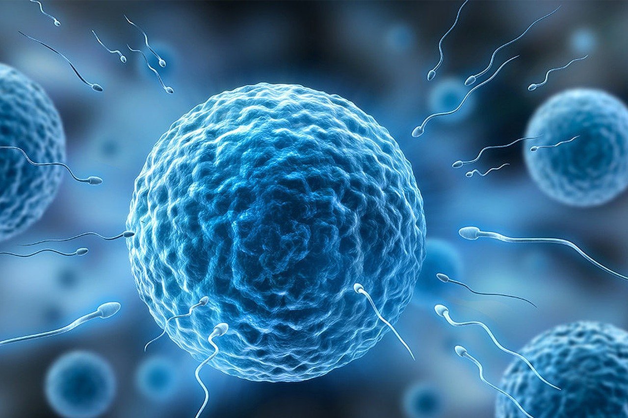 Colonizarea spațiului, pusă în dificultate de efectele microgravitației asupra reproducerii Cercetătorii au descoperit că microgravitația, simulată în cadrul studiilor de laborator, afectează negativ capacitatea spermatozoizilor de a se deplasa, ceea ce îngreunează procesul de fertilizare și, implicit, reproducerea