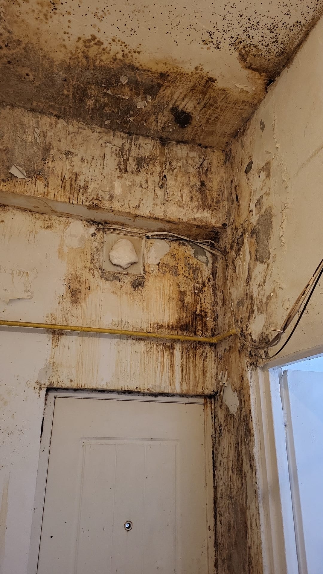 ANPC: Mizerie, Mucegai și Amenzi Masive în Urmă Verificărilor la Nivel Național Autoritatea Națională pentru Protecția Consumatorilor (ANPC) a desfășurat, în perioada 2–6 martie 2026, ample controale la peste 1.700 de operatori economici din România