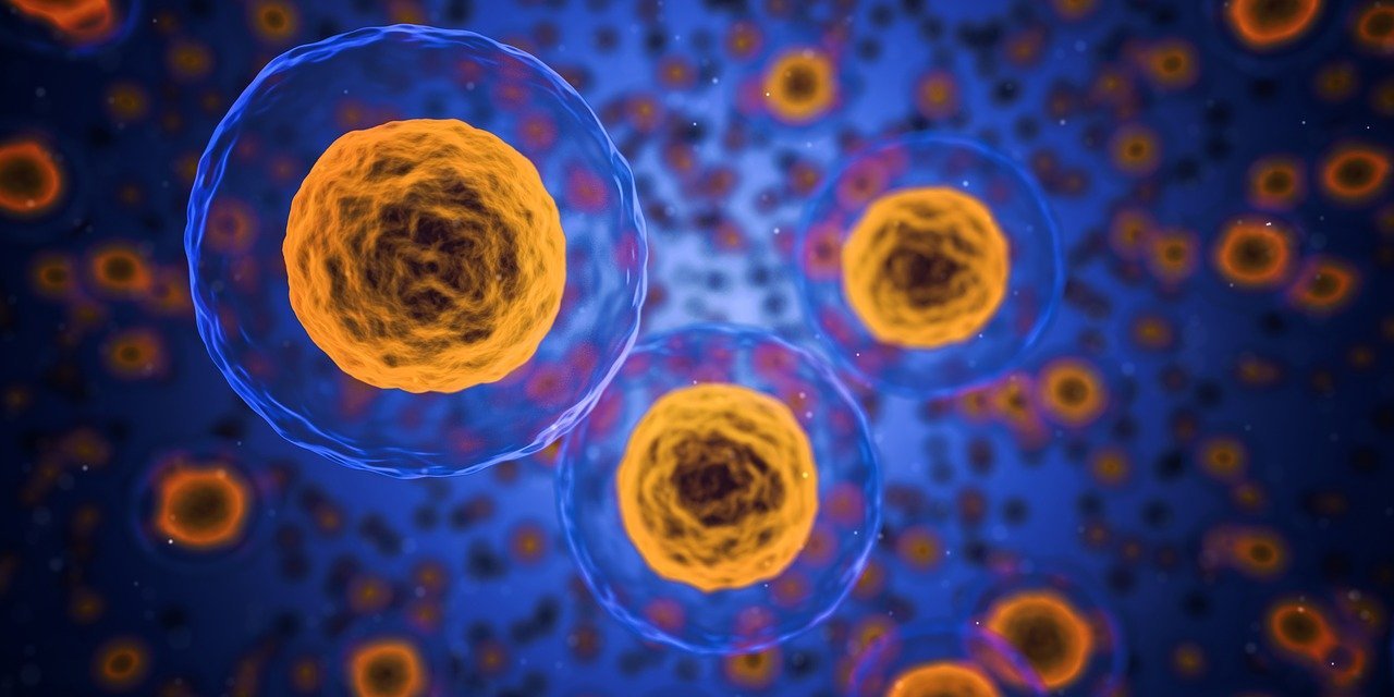 Bacterii modificate genetic luptă împotriva cancerului: o nouă speranță în tratament O echipă de cercetători a dezvoltat o metodă inovatoare de tratare a cancerului, utilizând bacterii modificate genetic pentru a ataca tumorile direct, fără a afecta celulele sănătoase