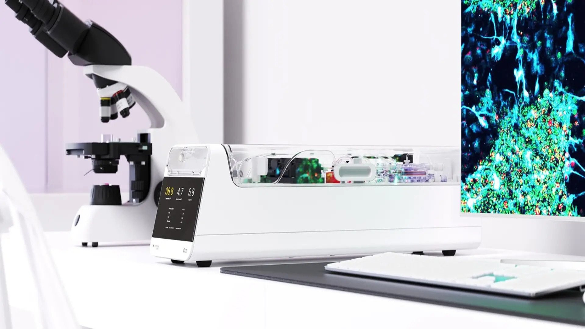 Neuroni umani vii joacă Doom: un pas important spre calculul biologic O echipă de cercetători a reușit să antreneze celule cerebrale umane vii, conectate la un sistem electronic de siliciu, să joace celebrul joc video Doom