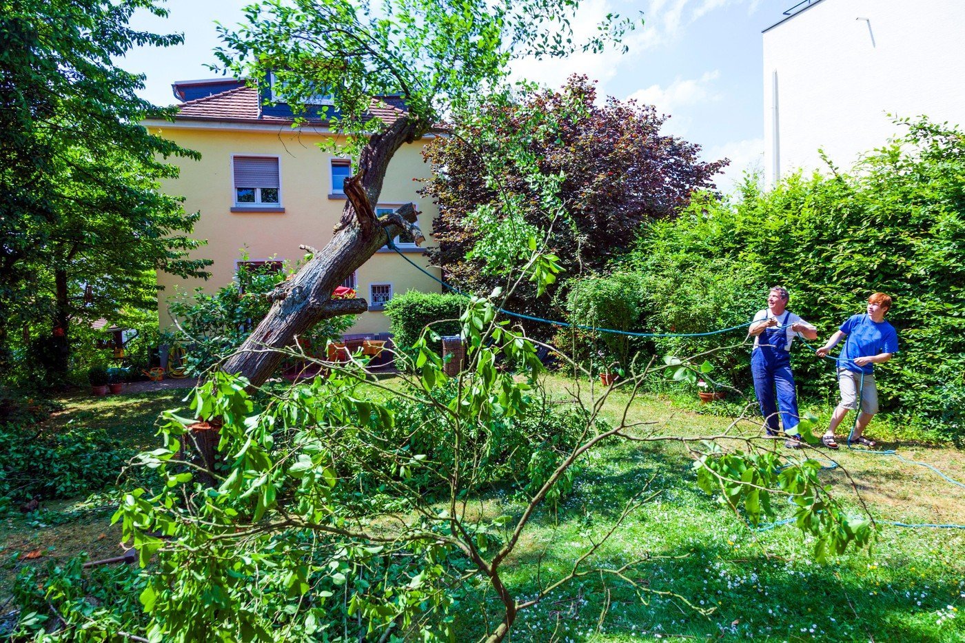 Curățenia de primăvară, sub semnul întrebării: ce poți face cu copacii din fața blocului Primăvara aduce cu sine dorința de a igieniza spațiul din jurul locuinței, iar mulți români se apucă de curățenia tradițională