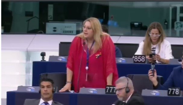 Diana Șoșoacă, europarlamentar, a fost audiată marți de Comisia pentru afaceri juridice (JURI) a Parlamentului European