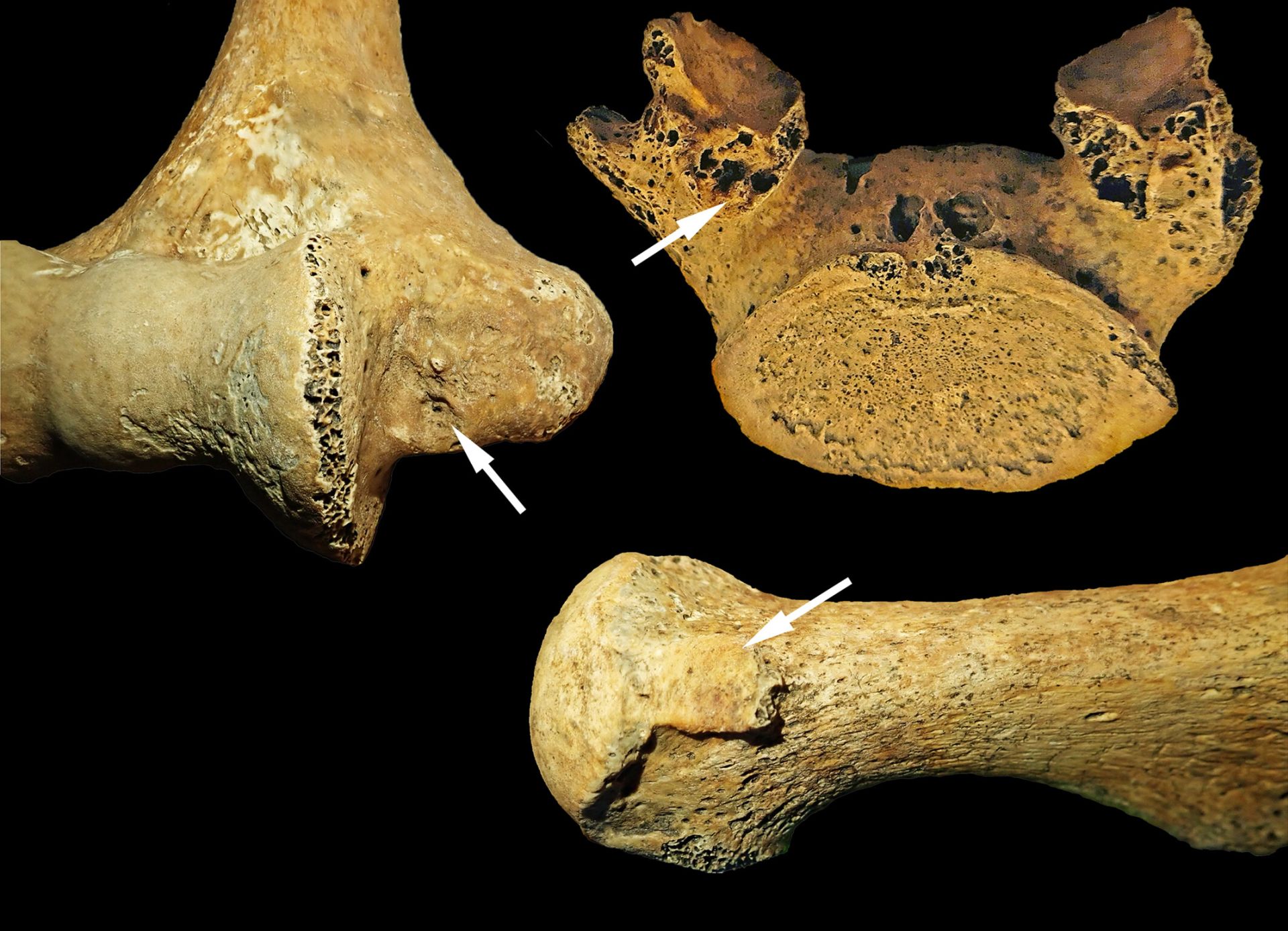 O descoperire arheologică recentă sugerează că rolurile de gen în urmă cu 7.000 de ani în Ungaria erau mai fluide decât s-a crezut anterior