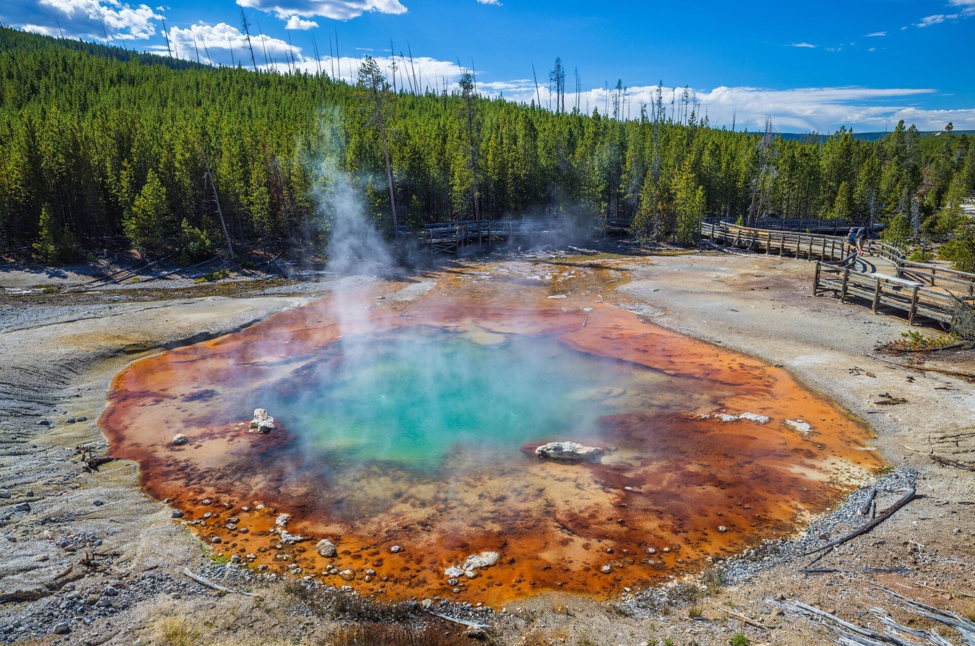 Gheizerul Echinus din Yellowstone erup din nou după o pauză de cinci ani Gheizerul Echinus, cel mai mare gheizer acid din lume, situat în Parcul Național Yellowstone din Statele Unite, a început să erupă din nou la începutul anului 2026, după o perioadă de inactivitate de peste cinci ani