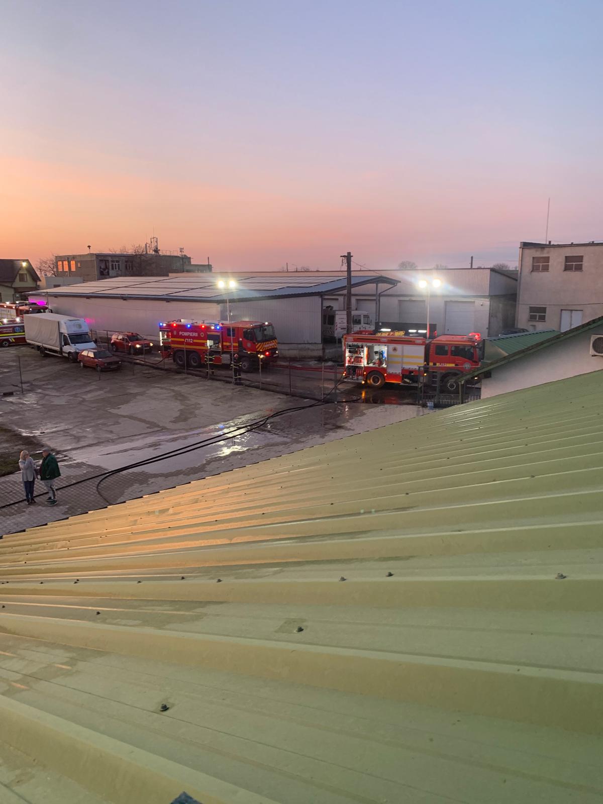 Incendiu puternic la un depozit de lemne din Satu Mare: flăcările au mistuit o suprafață extinsă Un incendiu de proporții a izbucnit în dimineața zilei de luni, în jurul orei 05:00, la un depozit de lemne din municipiul Carei, județul Satu Mare