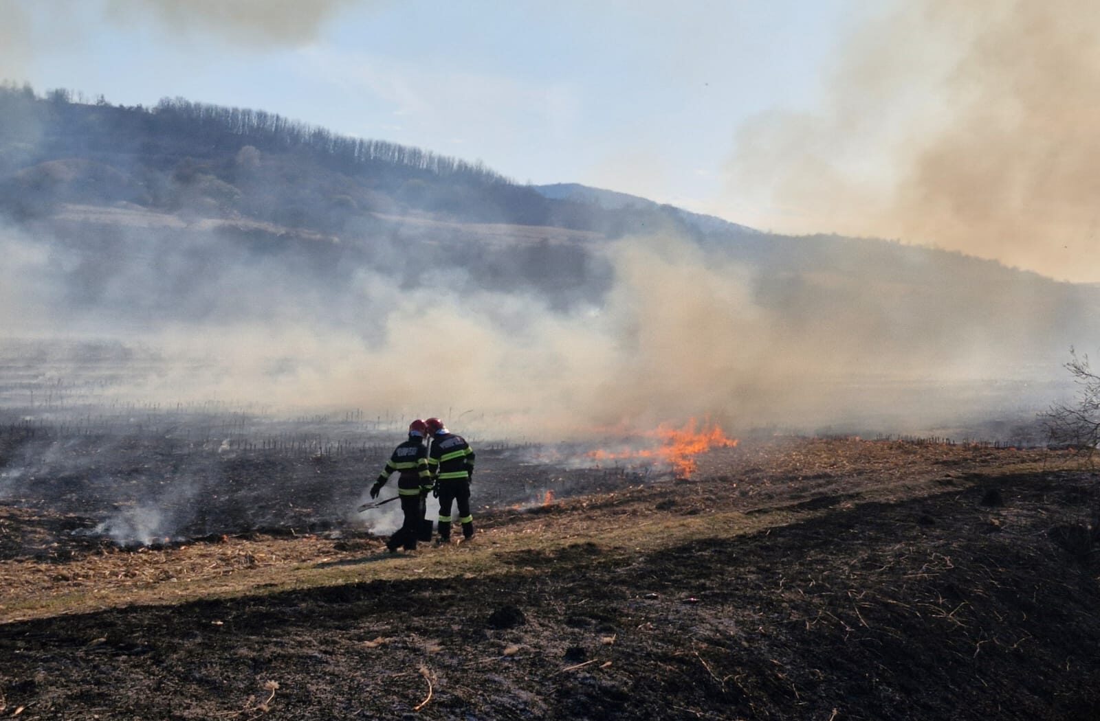 Arderea vegetației uscate, pericol major în România