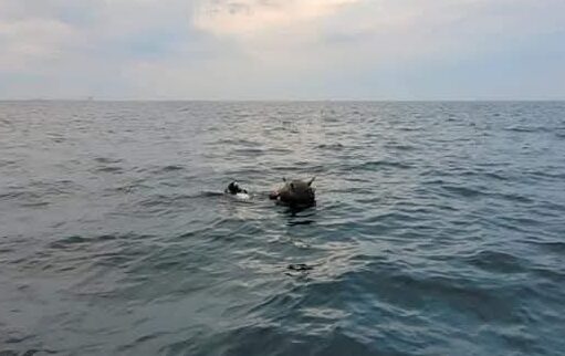 MAn răspunde rusiei despre minele din Marea Neagră