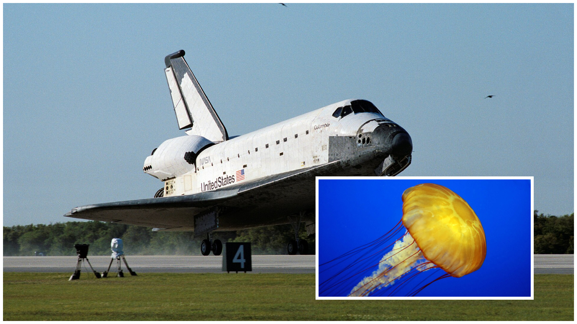 Ce s-a întâmplat când extratereștrii au revenit pe Pământ