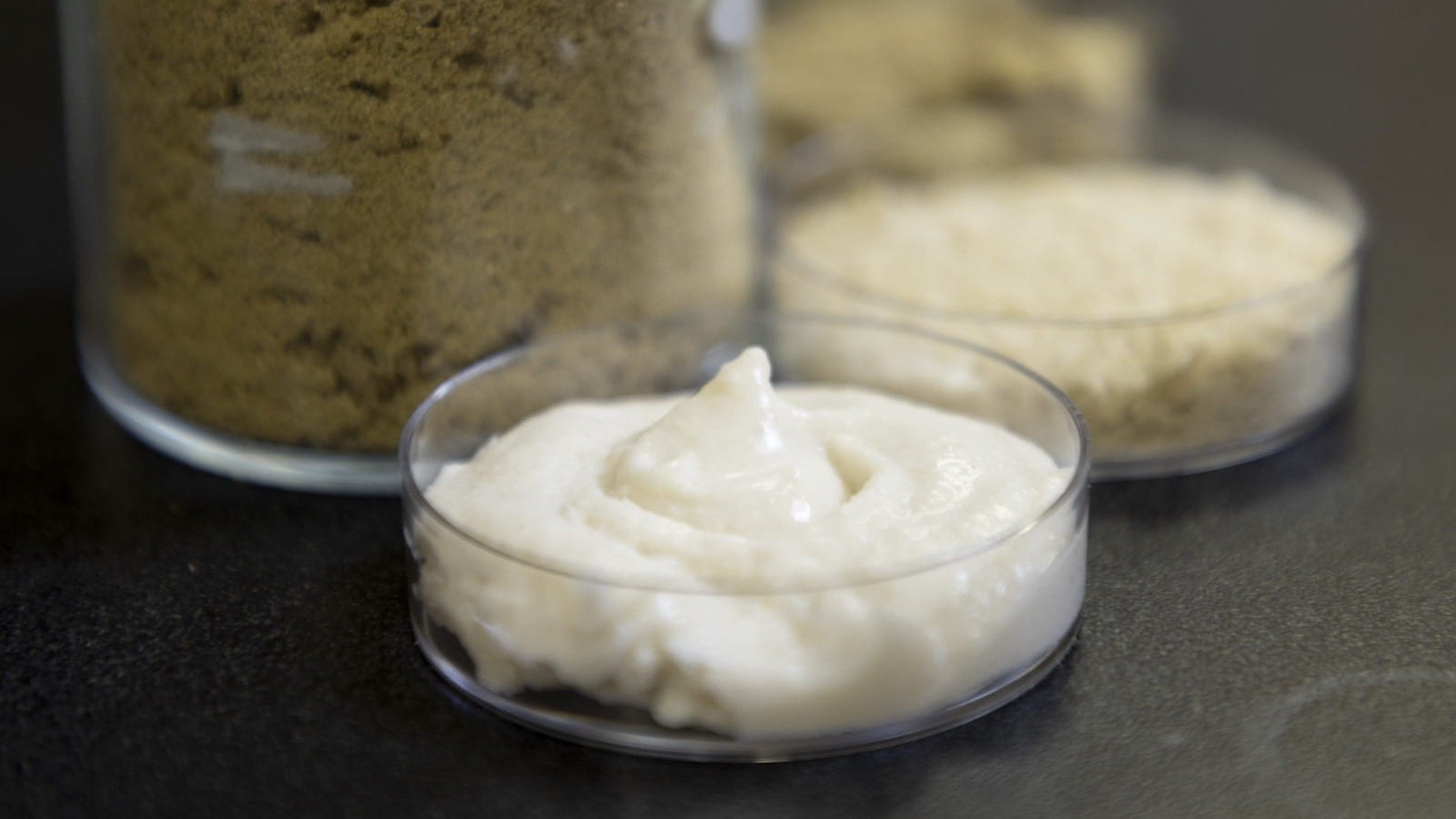 Orezul, transformat în „brânză” vegană? Cercetătorii explorează potențialul proteinelor din orez pentru a crea alternative sustenabile la produsele lactate, cu accent pe textură, gust și valoare nutritivă