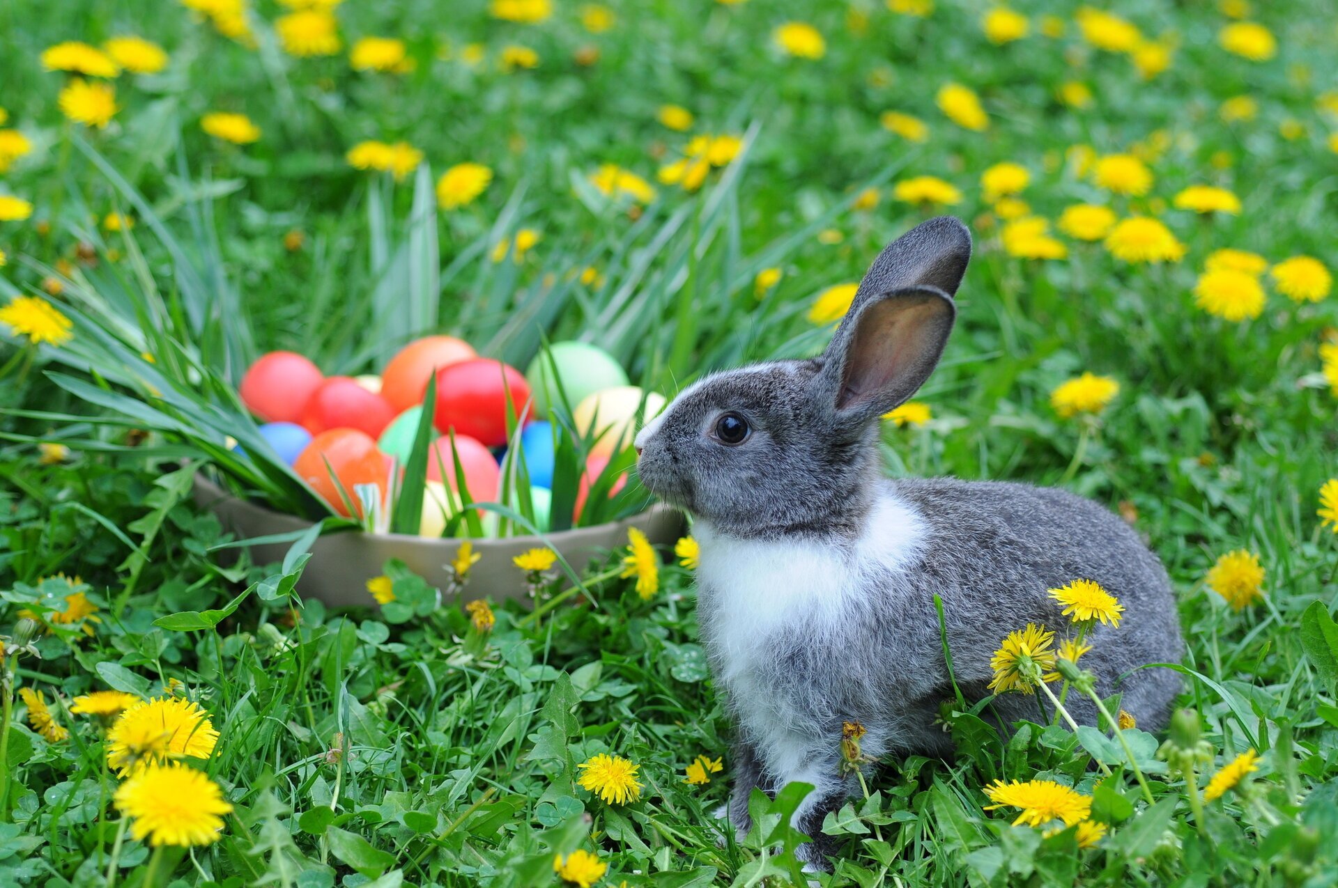 Paștele ortodox și catolic în 2026: Când sărbătoresc creștinii?