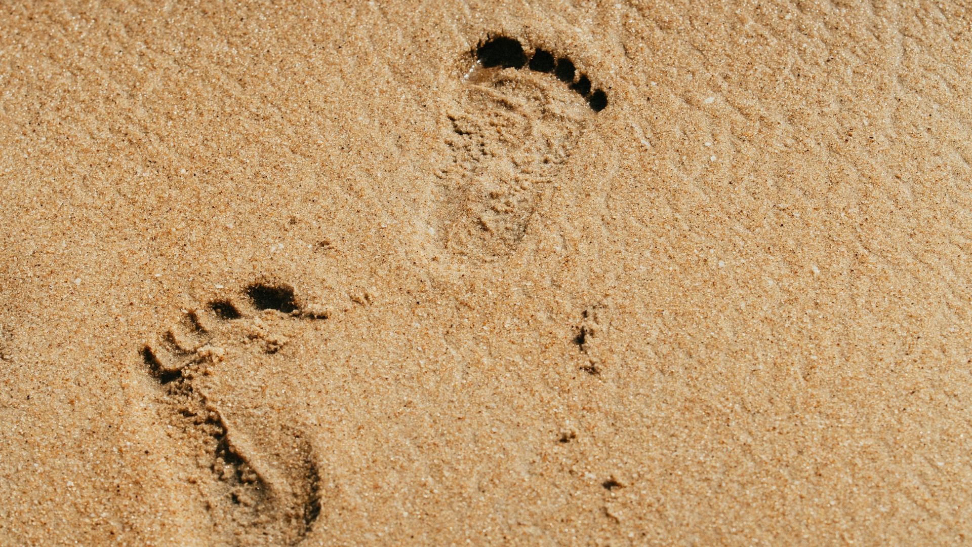 Numărul mare de firme înscrise la o licitație recentă pentru administrarea plajelor a generat reacții pozitive din partea Ministerului Mediului, care atribuie succesul noilor criterii introduse în caietele de sarcini