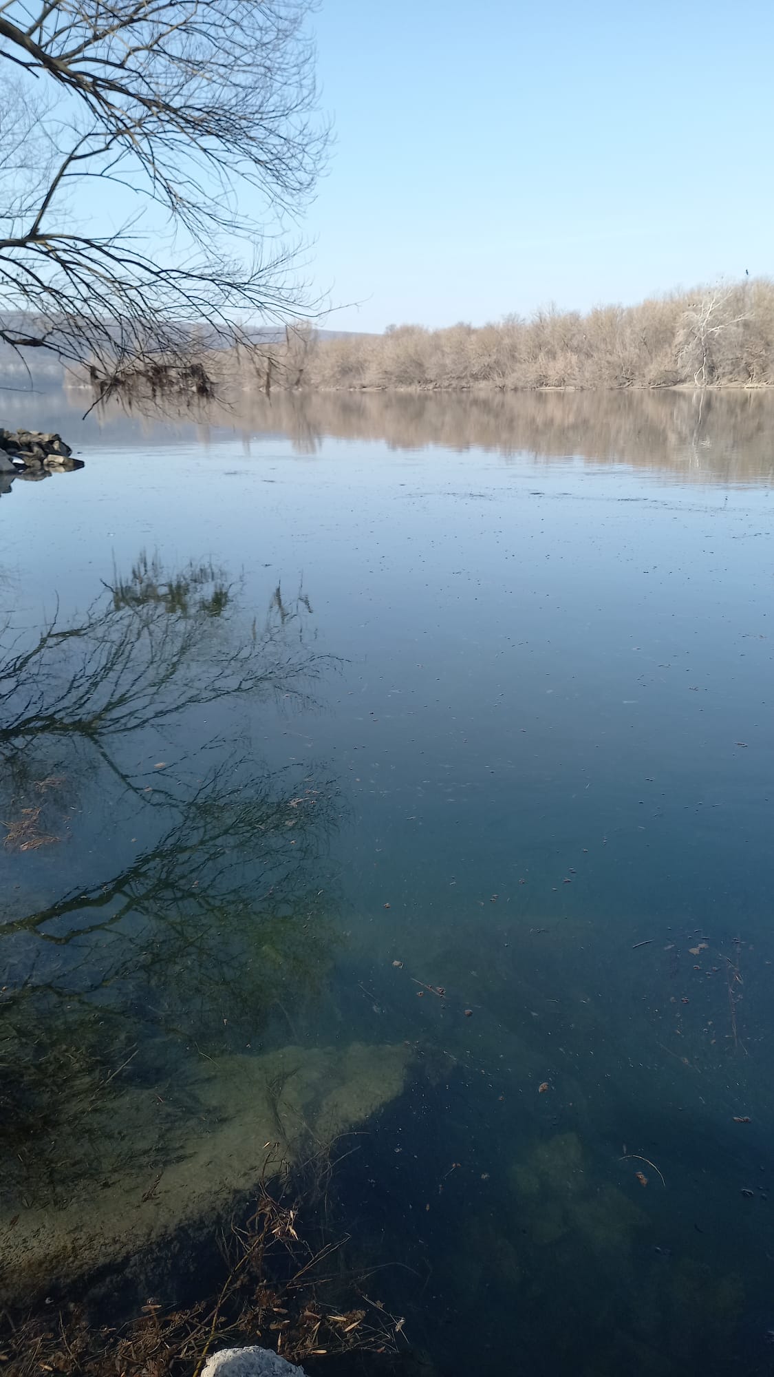 România oferă sprijin republicii moldova
