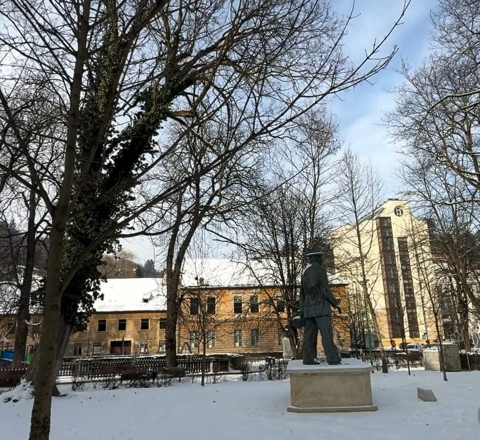 Brașov: Zeci de arbori prezintă risc de cădere – măsuri urgente se impun Municipiul Brașov a demarat o amplă acțiune de evaluare a arborilor din oraș, în urma căreia au fost identificați zeci de copaci care prezintă riscul de a se prăbuși