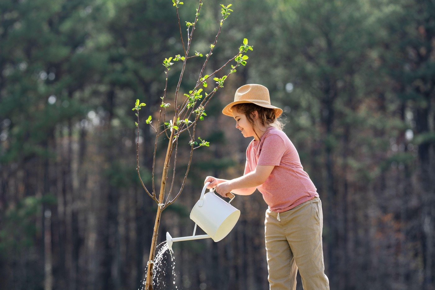 Martie, luna ideală pentru plantarea pomilor fructiferi și a arborilor ornamentali Începutul lunii martie reprezintă un moment propice pentru plantarea pomilor fructiferi și a anumitor specii de arbori ornamentali