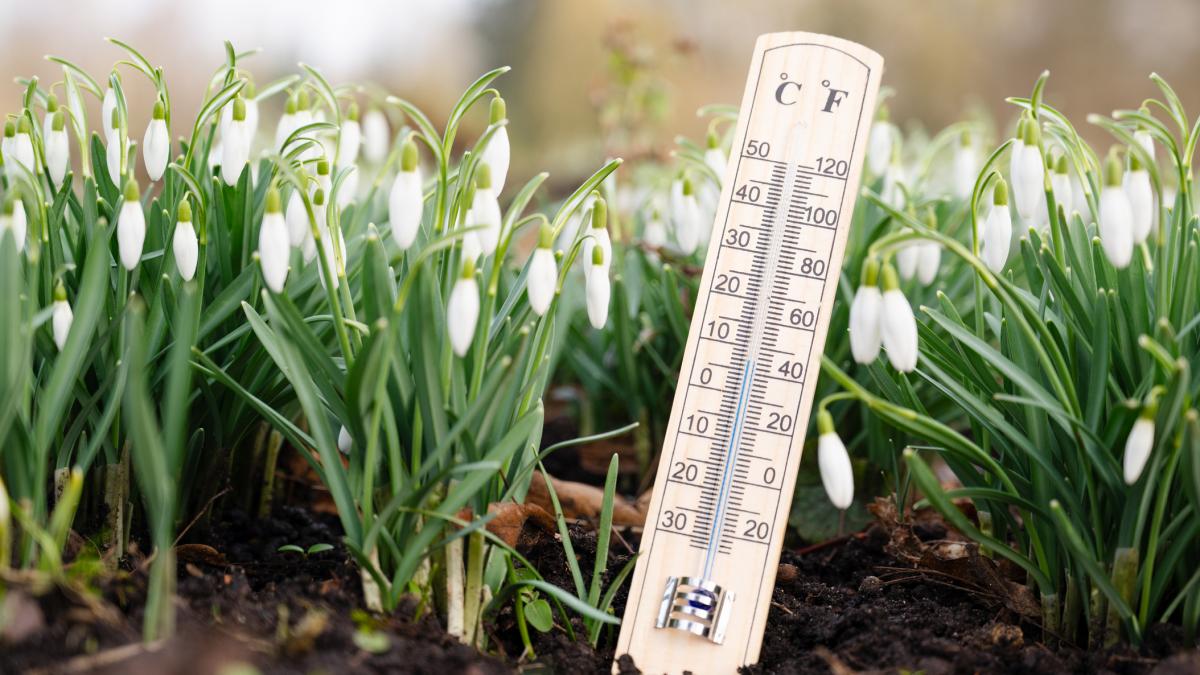 Bucureștenii se bucură de vreme bună, dar atenție la vânt Capitala va avea parte de temperaturi peste media perioadei în ziua de duminică, anunță meteorologii