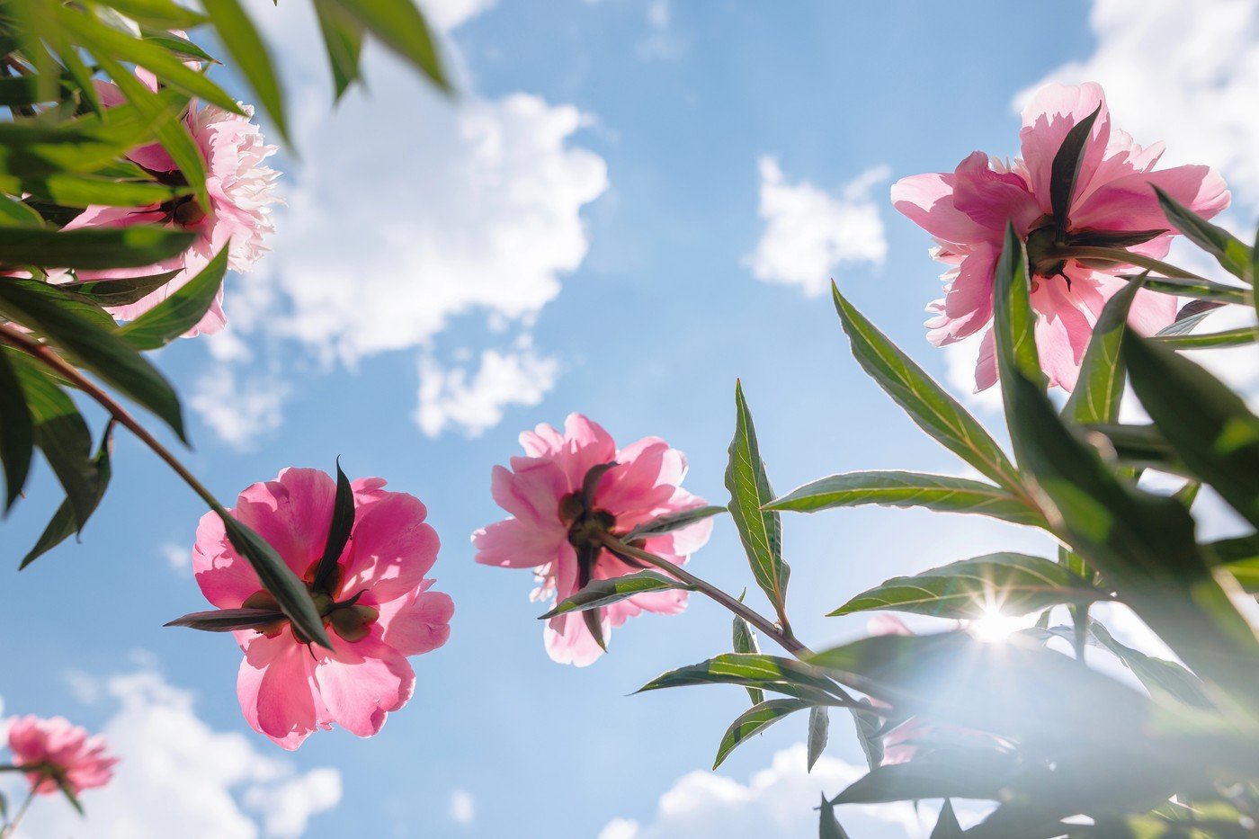 Prognoza meteo: Weekend cu vreme bună în toată România