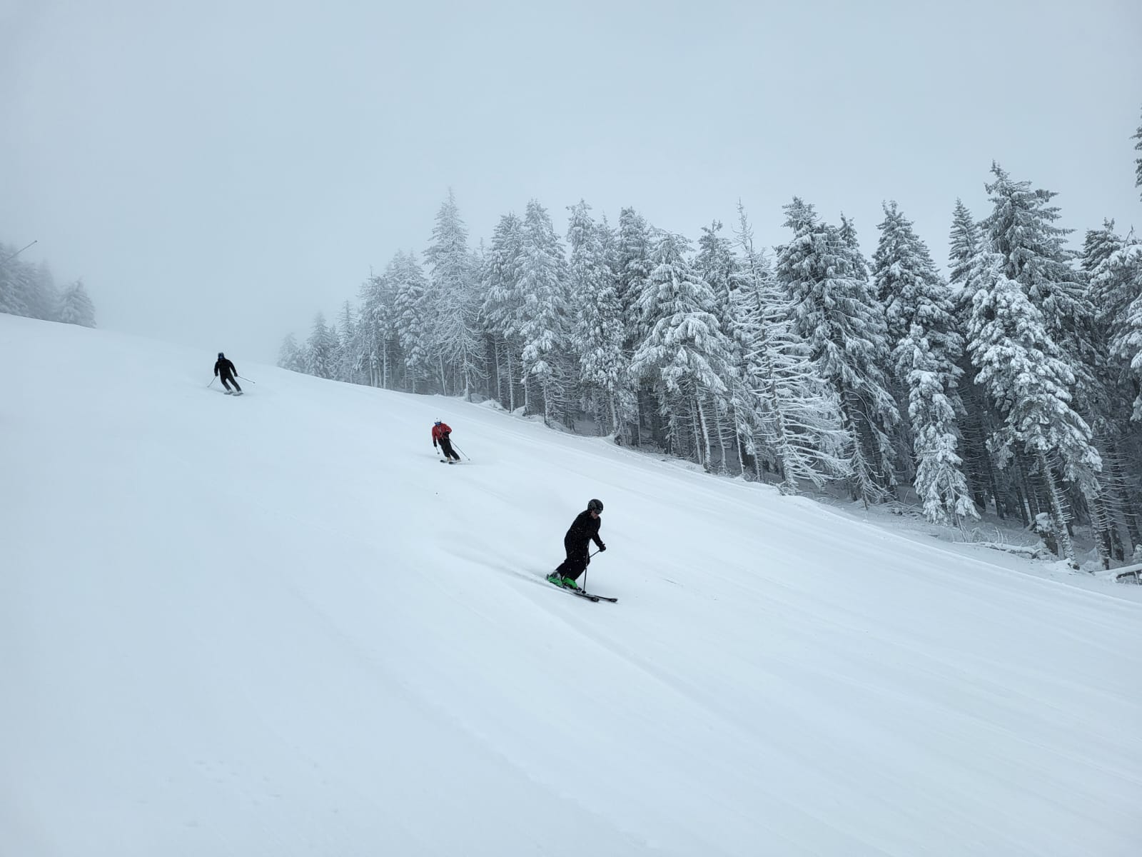 Ultimul weekend de schi în Poiana Brașov Sezonul de schi în Poiana Brașov se încheie abrupt, din cauza condițiilor meteorologice nefavorabile