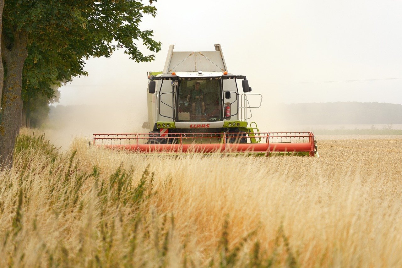 Limitarea vânzării terenurilor agricole către străini, propusă de un deputat AUR Un proiect de lege care vizează limitarea suprafeței de teren agricol ce poate fi achiziționată de cetățeni din alte state membre ale Uniunii Europene a fost inițiat de deputatul AUR Lucian Mușat