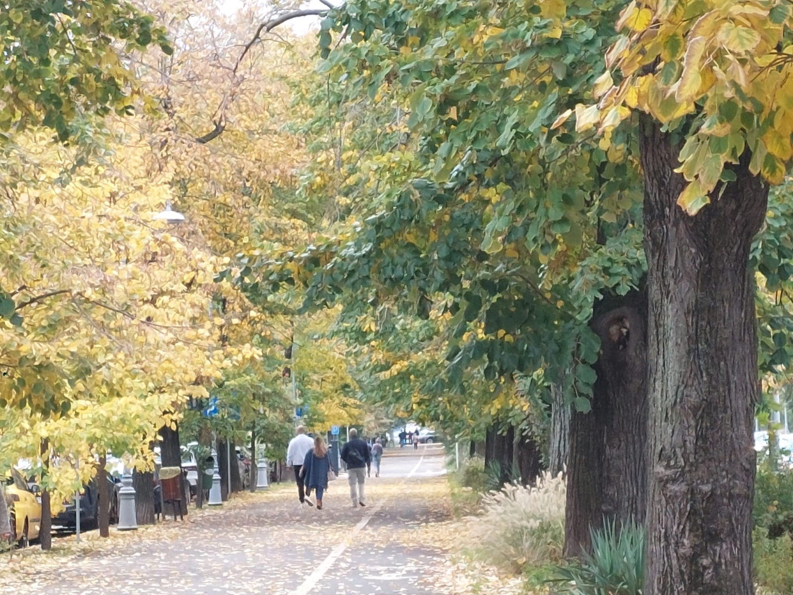 Primăria Buzău va construi un parc în cartierul Simileasca, unde tinerii se recreează în cimitir Primarul municipiului Buzău, Constantin Toma, a anunțat joi intenția administrației locale de a amenaja un parc în cartierul Simileasca, locuit preponderent de comunitatea de romi