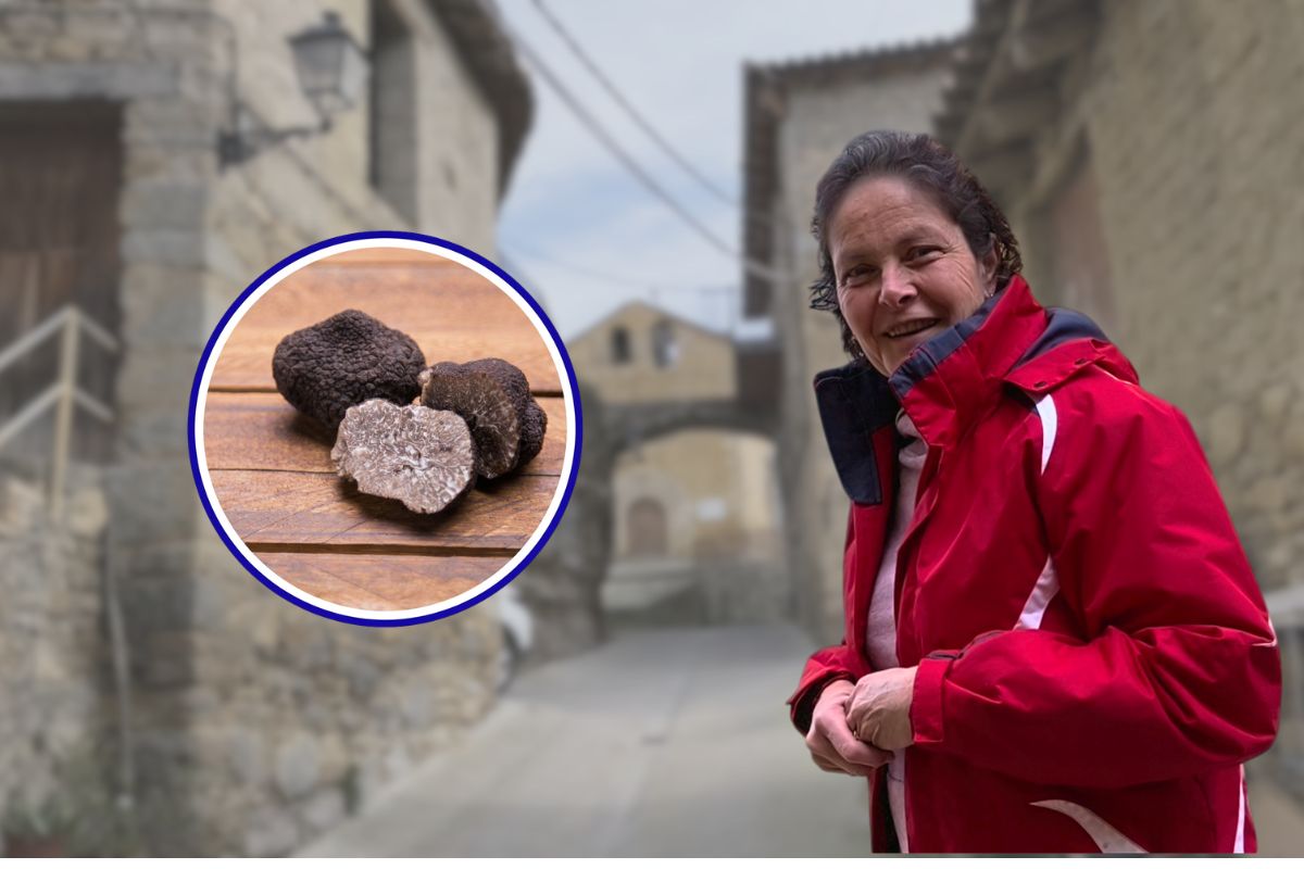 Trufele negre din Aragon: o incursiune în lumea delicateselor culinare Franța și Italia sunt consacrate în lumea gastronomiei ca centre de excelență pentru trufele de calitate