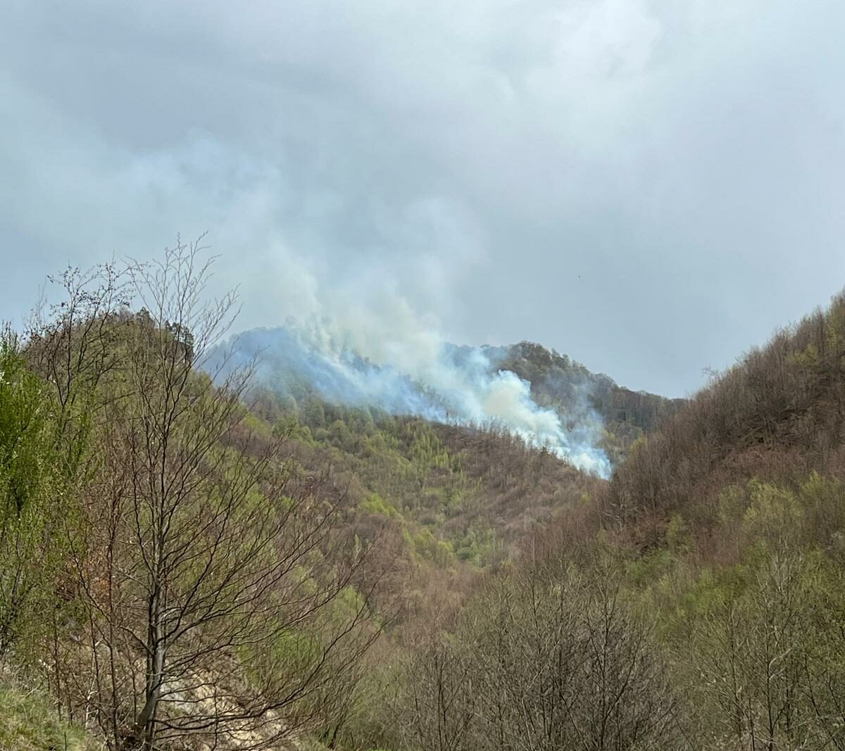 Arde vegetația uscată și litiera