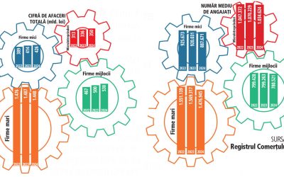 IMM-urile, motorul economiei: Trei sferturi din forța de muncă, angajată aici