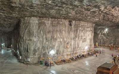 Pagina Verde: EcoNews ZF aduce vești despre protejarea planetei