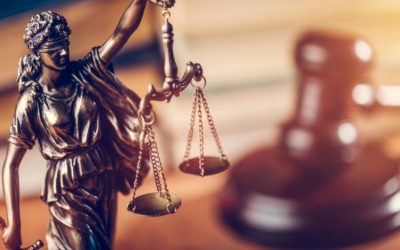 Fost consilier AUR, salvat de ÎCCJ: Polițiștii DGA, fără mânecă la politicieni