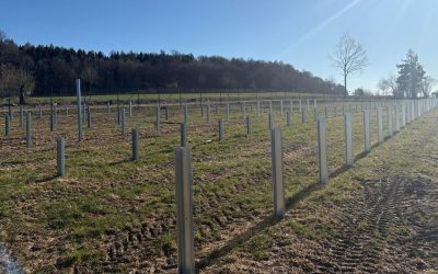 Bolojan dă de gol “băieții deștepți” din energie: Proiecte blocate, scoase la vânzare pe OLX