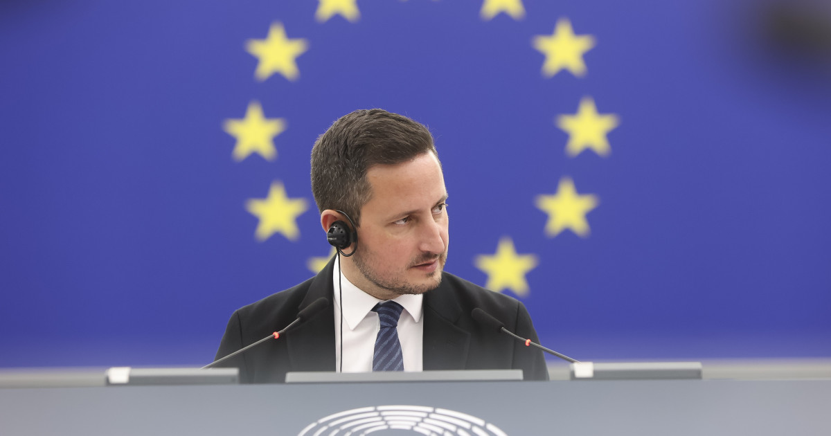Ștefănuță cere „moment Ungaria” în România: Parlamentul, „ras tot”