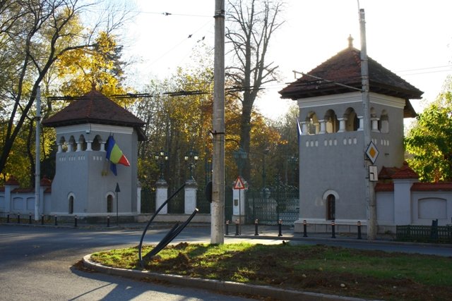 Nicuşor Dan, convocare fulger la Cotroceni: Liderii partidelor, chemați la discuții