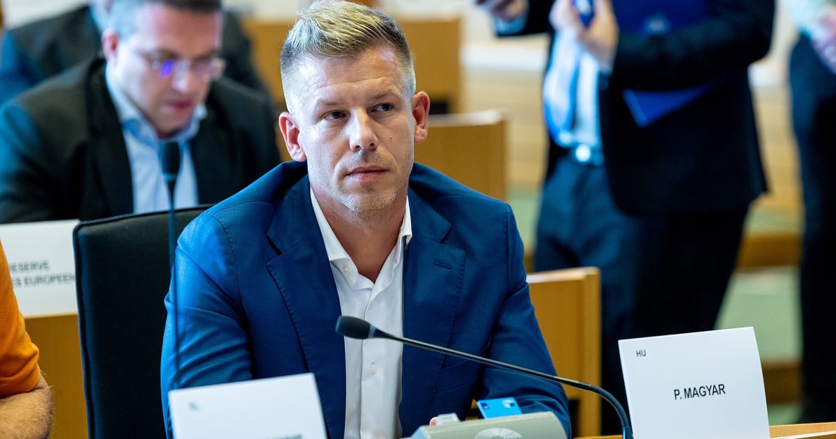 Peter Magyar, politicianul care șochează: Ce făcea în anii 2000