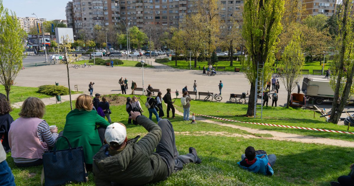 Arborii din Parcul Tineretului, în pericol: Salvarea plopilor, testată prin intervenții pilot
