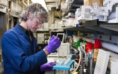 BofA taie ținta PFE după date slabe: Acțiunile Pfizer, în picaj