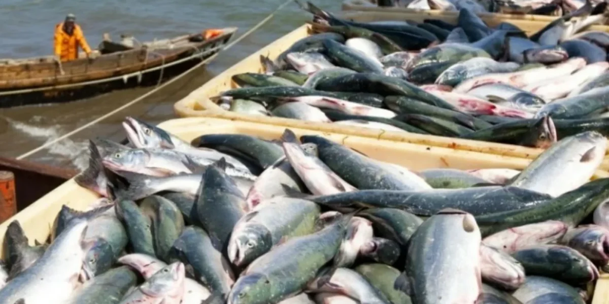 333333333333w_I6vg6.webp.webp - NewsFactor