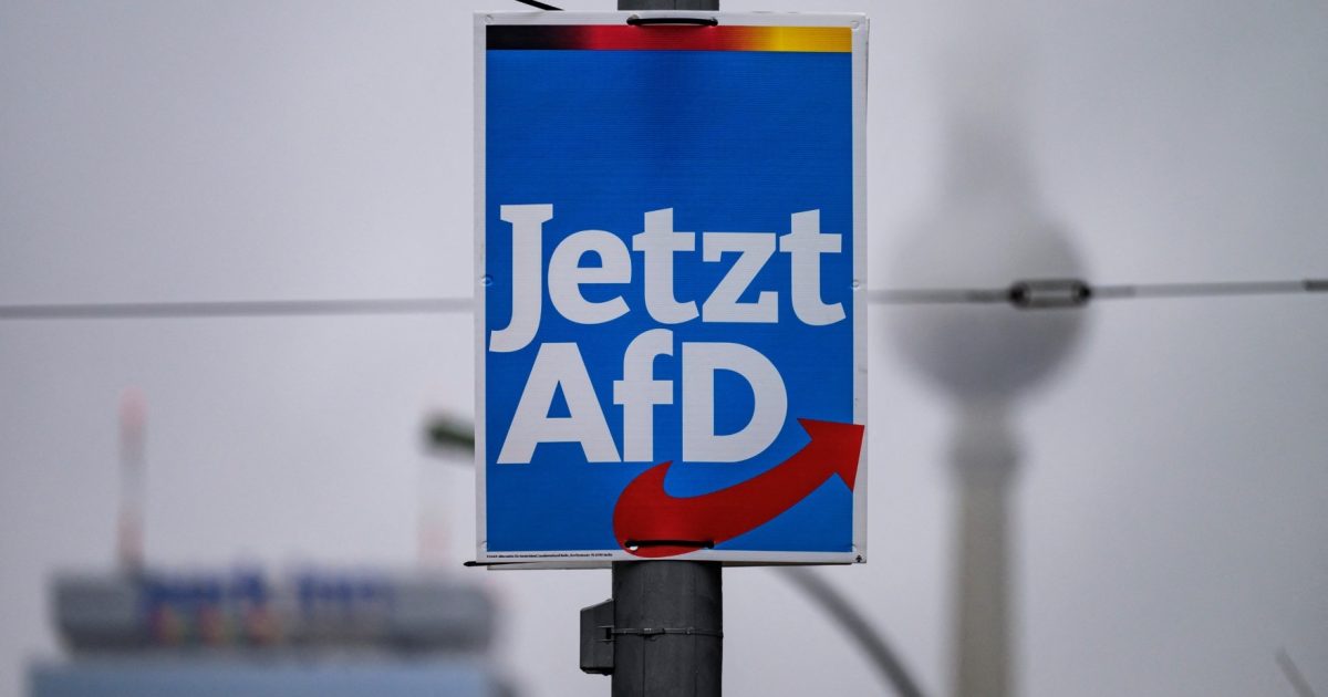 AfD, partidul extremist, urcă vertiginos în sondaje în Germania