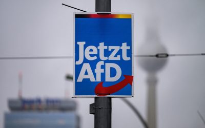 AfD, partidul extremist, urcă vertiginos în sondaje în Germania