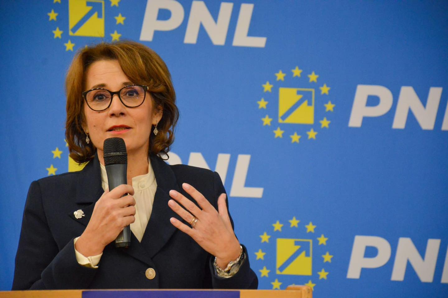 O evaluare a industriei naţionale de apărare se va face după sărbătorile pascale, a anunţat, luni, preşedinta Comisiei de apărare din Senat, Nicoleta Pauliuc, la un eveniment organizat de OPIA – Organizaţia Patronală a Industriei de Apărare, cu ocazia celebrării a 22 de ani de la aderarea României la NATO