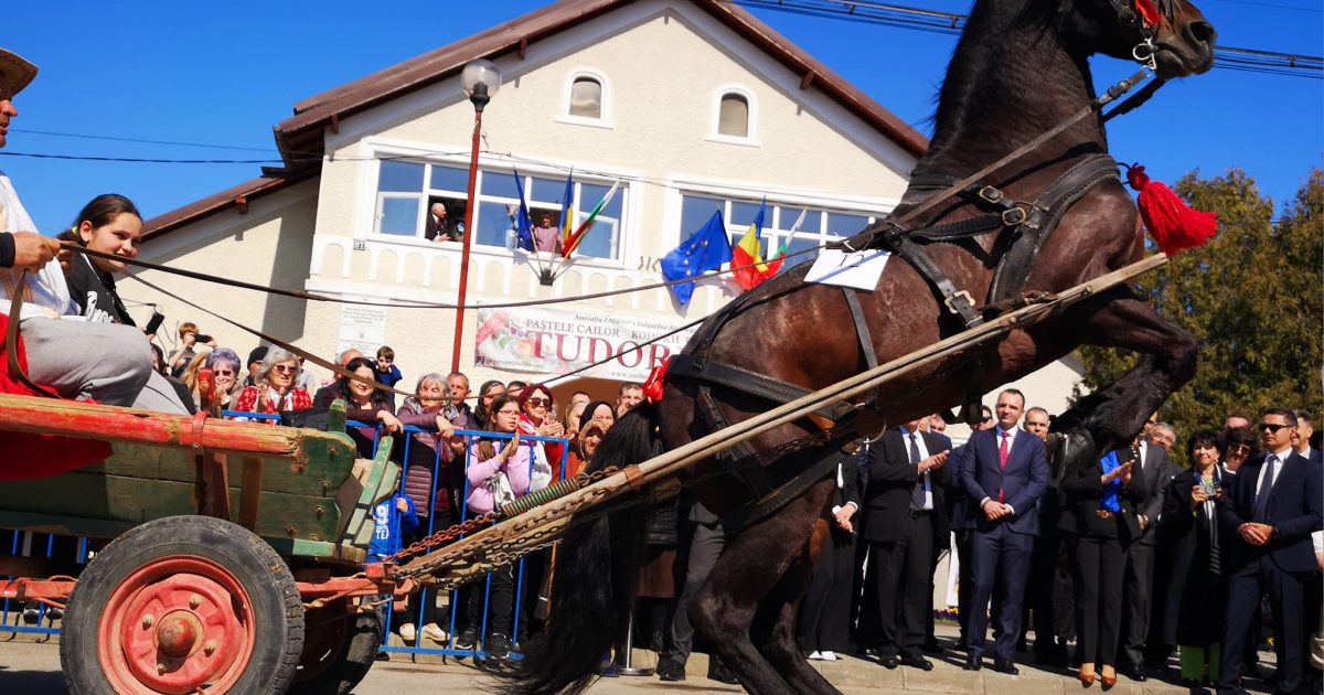 Paștele Cailor chiar există: Românii sărbătoresc pe Țarafului