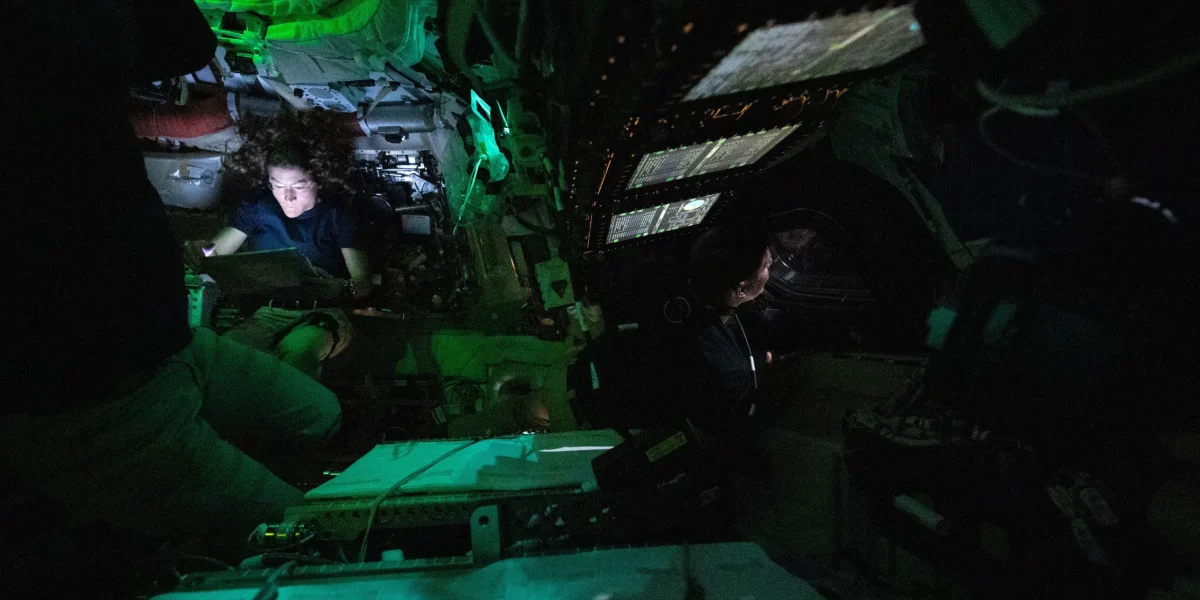 55187055368-7ab1e4c6a4-o-scaled.webp.webp - NewsFactor