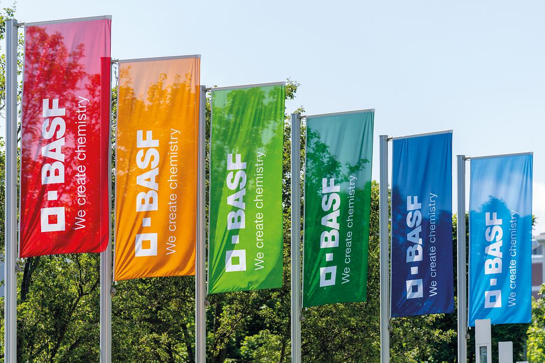 BASF angajează peste 50 de specialiști în București